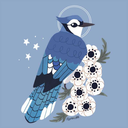 bluejay-cardinal avatar