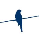 bluejay7777777 avatar