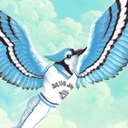 bluejayhunter avatar