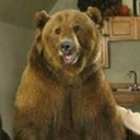 bluejayyway-blog avatar