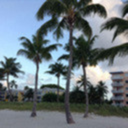 bluelacedlotus avatar