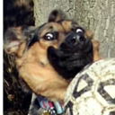 bluelaserbeam avatar