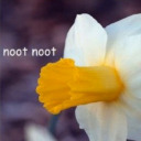 bluelightglassesbitch avatar