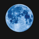 bluemoon-lia avatar