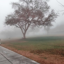 bluemoongame-blog avatar