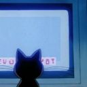 bluemoonnotes avatar