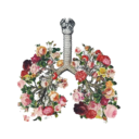 bluemoonwildflower avatar