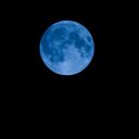 bluemoonyblues avatar