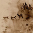 bluemoonytoast avatar