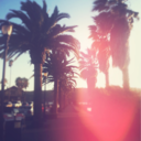 blueoceanparadise avatar