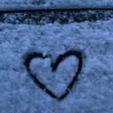 bluepandaparadise avatar