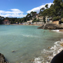 bluepeanutzombie avatar