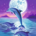 bluereadingdolphin avatar