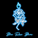 blueroseblaze avatar