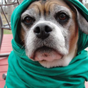 bluerosesarelovely avatar