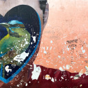 bluesalamandra avatar