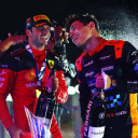 bluesandwichduck avatar