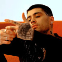 bluesearedsea avatar