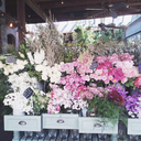 blueskiesclearseas avatar