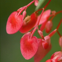 blueskyalltheway avatar