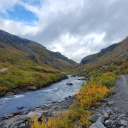 bluesmakemecry avatar