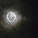 bluespersonalpage avatar