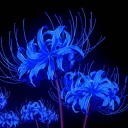 bluespiderlily08 avatar