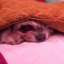 bluestarrysky29 avatar