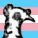 bluestem-archive avatar