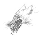 bluestthingsonearth avatar