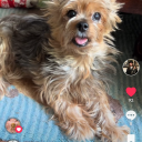 bluesuedeshoes1234 avatar