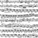 bluesylvestris avatar