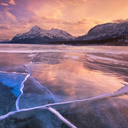 bluetenmeerundsternenstaub avatar