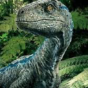 bluetheclevergirl avatar