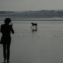 bluetomas0615 avatar