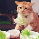 bluetrashcollection avatar