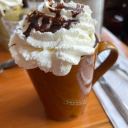 bluetravelercollective avatar