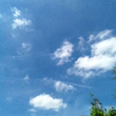 bluetrekker12 avatar