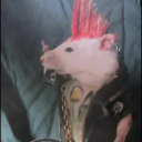 blueviiolence avatar