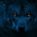 bluewolfwalker avatar