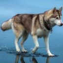 blueyedblondy69 avatar