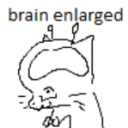 bluisbeingstupid avatar