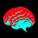 blunt-force-karma avatar