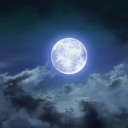 blunt-thoughtss avatar