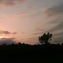 blurryface172-blog avatar