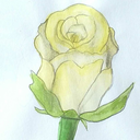 blushingpaintbrush avatar