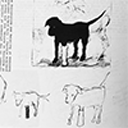 blushingunderwar avatar