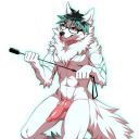 bluthunderfox avatar