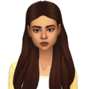 bluushsims avatar