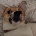 blvck-orchids avatar